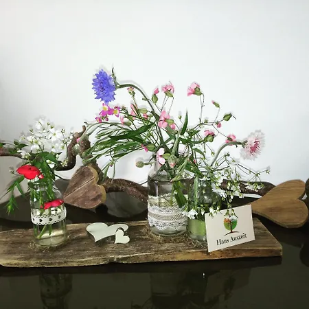 Haus Auszeit דירה *