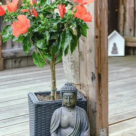 דירה Haus Auszeit