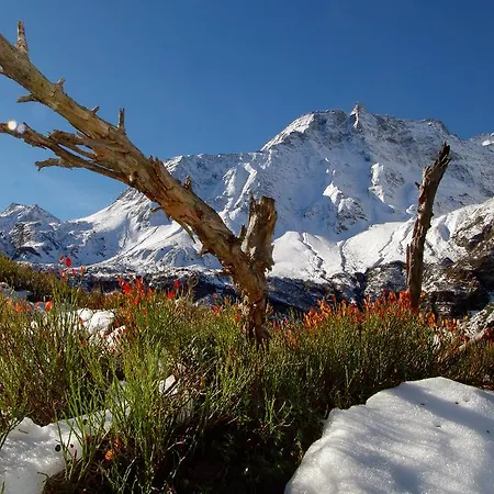 Haus Auszeit Appartement *