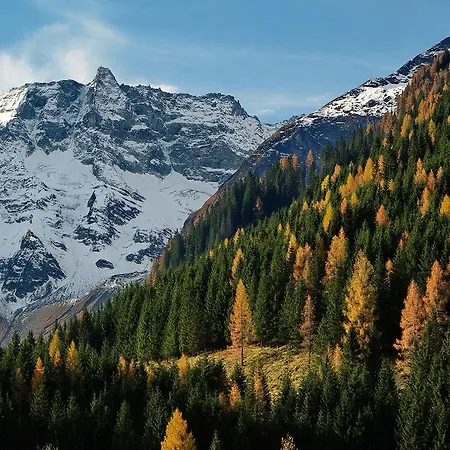 Appartement Haus Auszeit *