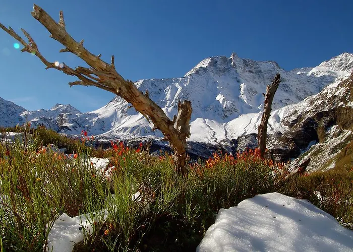 Haus Auszeit Διαμέρισμα *
